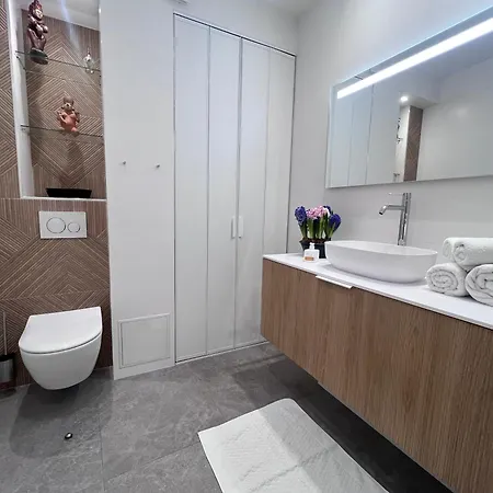 Champs Elysees Apartment