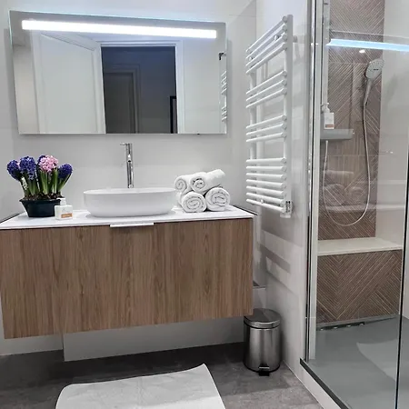 Champs Elysees Appartement Paris